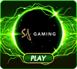 SA gaming by เว็บ บาคาร่า888